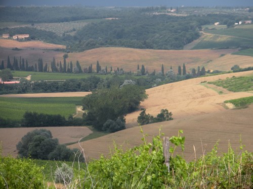 Tuscan green landscape in late Spring.