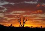 Travel in South Africa at sunset.