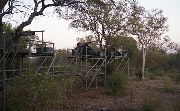 The Rhino Post sleep-out camp