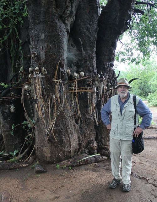 Author at kill tree.