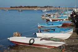 Boats on Kerkennah island.