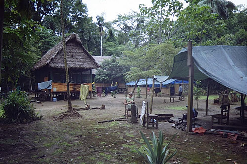 Camp in the Bolivian jungle.