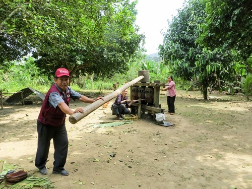 Local man turning the sugar cane press