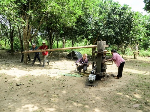 Turning the sugar cane press.