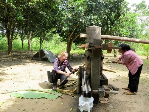 Mamio feeding the sugar cane into the press