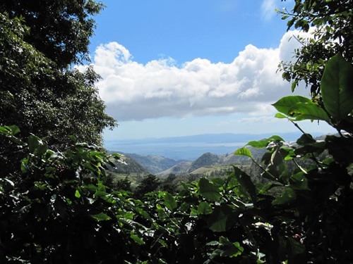 Costa Rica's Pacific Coast.