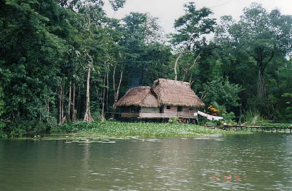 Hut off the Caribbean coast of Guatemala.