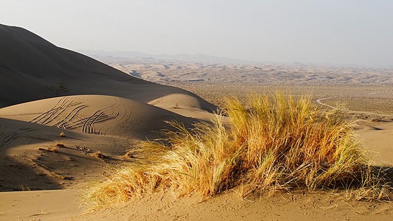 Dunes in the desert of Iran.