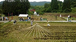 Dance in rice fields of Toyomi, Japan.