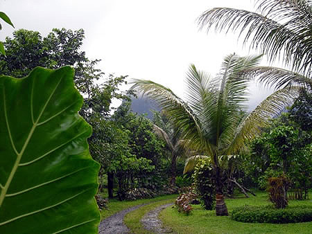 Sao Tome Landscape.