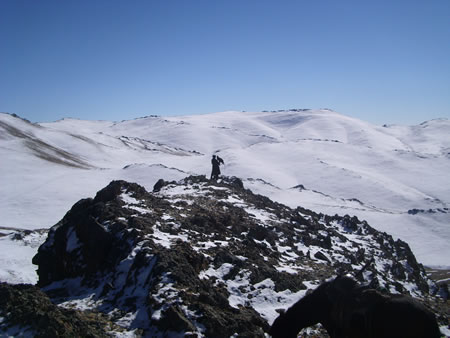 Kazakh Eagle Hunter standing on hilltop with his bird.