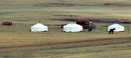 Three Gers in Mongolia with horses.