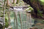 Responsible Mexican tourism in a forest.