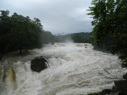 Wild river in Mexico.