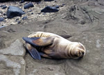 Adventures in the Galapagos Islands