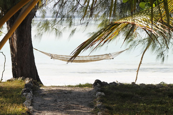 Work and enjoy your hammock.