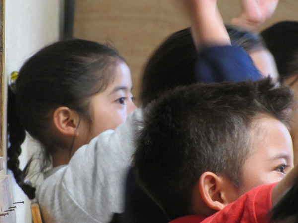 Young students in class  raising their hands while learning English.