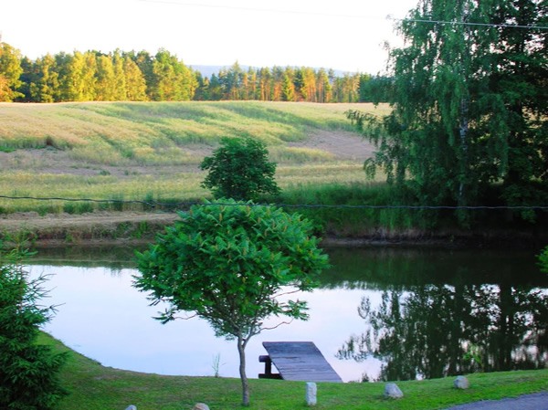 Proofreader abroad Czech Republic Summer office view