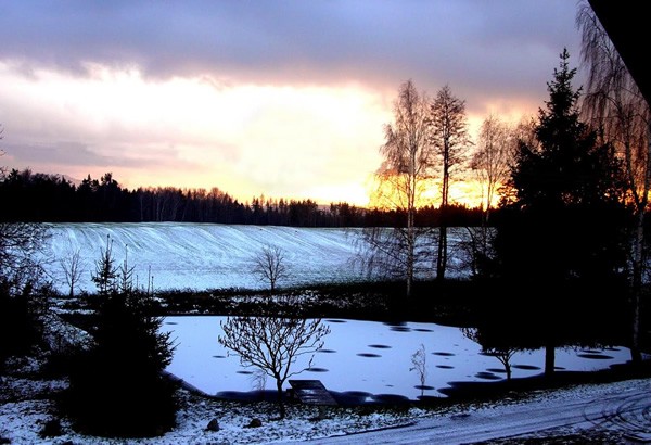 Winter office view of snow on the land.