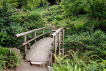 A bridge observed while teaching English in Japan.