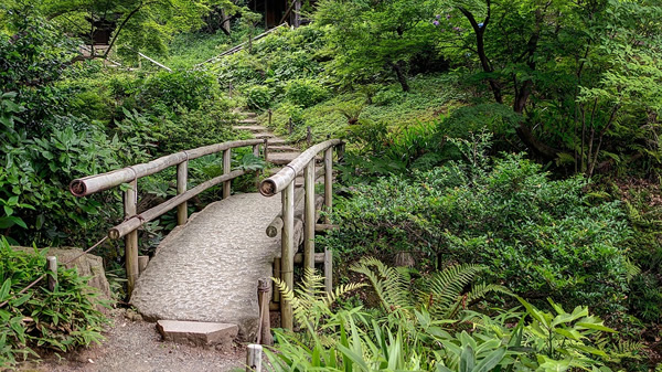 Garden in Japan.