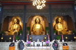 Taiwan Buddhas.