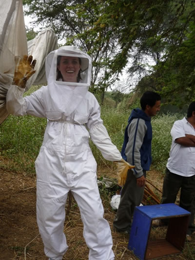 Harvesting honey in Peru.