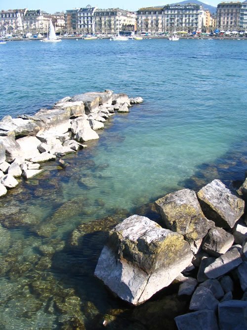 View of the Lake of Geneva.