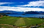 New Zealand farm