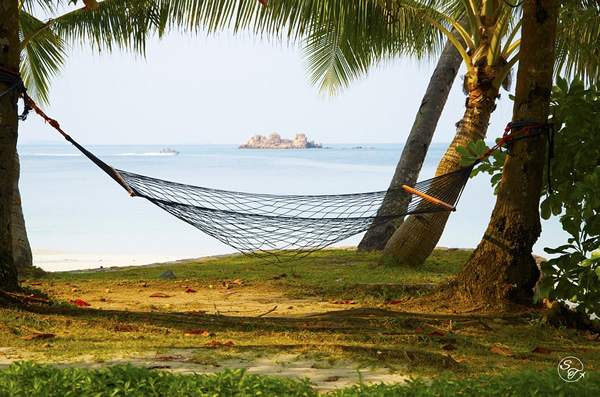 A hammock tied to a tree with an ocean background. Find travel jobs in unlikely places.