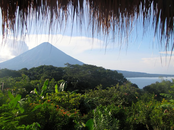 Volunteer work with WWOOF in Central America