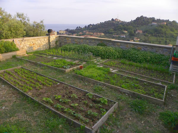 Garden overlooking Imperia.