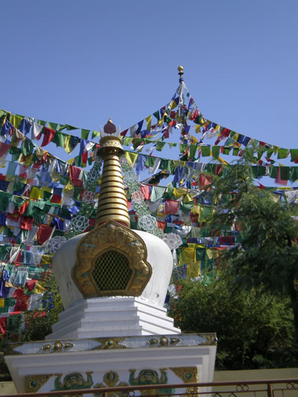 Prayer flags behind the Dalai Lama's temple