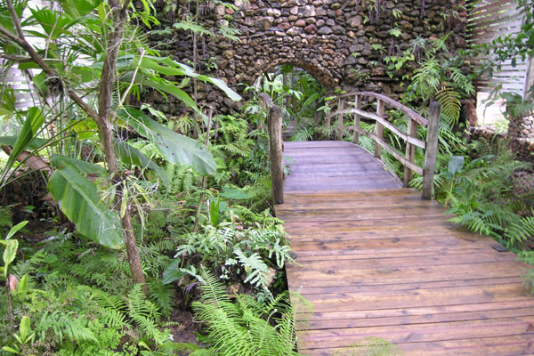 Volunteer in  Belize Botanic Gardens and walk on wooden pathways through tropical vegetation.
