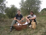 Volunteer in Italy with WWOOF