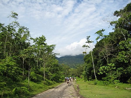 Voluntourists in Costa Rica on a scenic path.