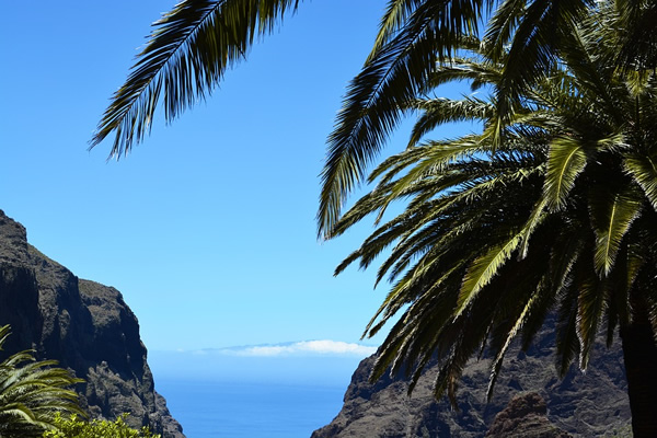 A view from Tenerife