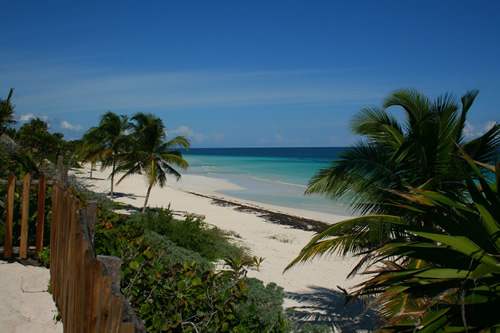 Yucatan beach in Mexico.