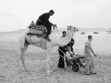Travel with a Disability in Egypt