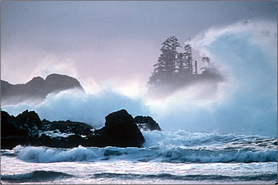 Canada's wild West Coast during a storm.