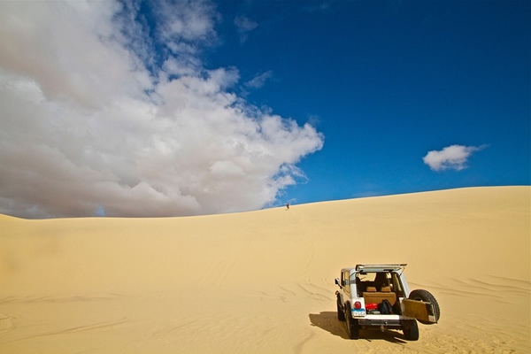 A desert safari in Egypt