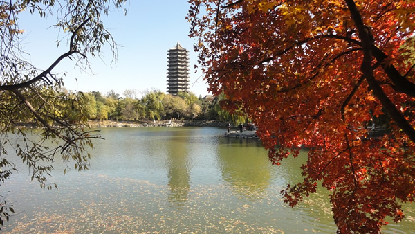 A University campus in China