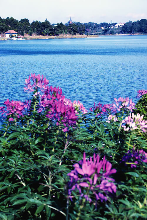 Da Lat Xuan Huong Lake