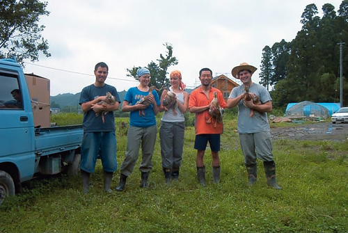 Japan volunteer WWOOF participants with ducks