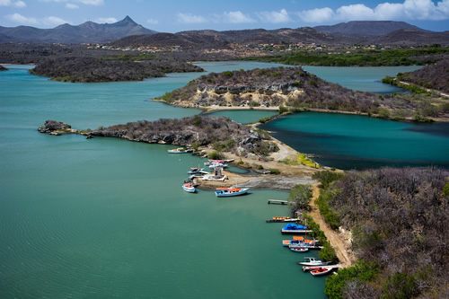 Travel by boat along the bay