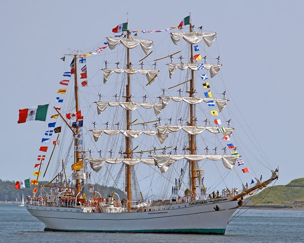 A tall ship in Halifax