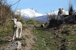 Adventure trekking in Patagonia
