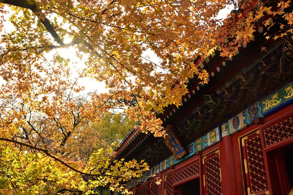 Autumn in Beijing, China