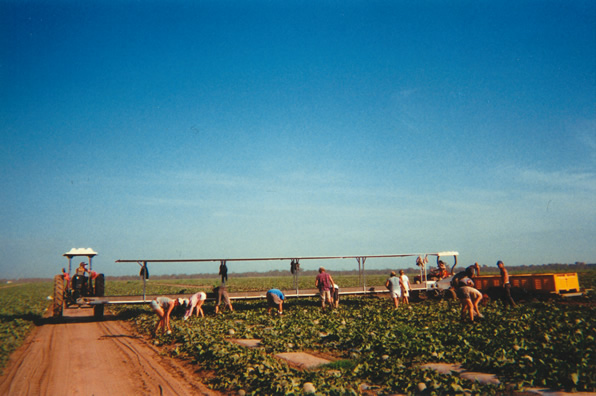 Farm jobs in Australia.