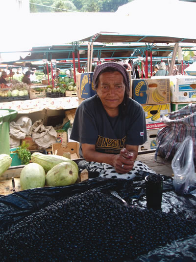 The blueberry seller in Transylvania